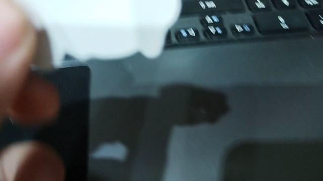 жизнь голубя не проста