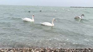 Сегодня на море на набережной...