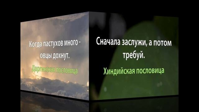 Пословицы и поговорки народов мира 📘🖊️📙 смотреть онлайн