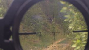 Егерь 6.35 стрельба на 160м