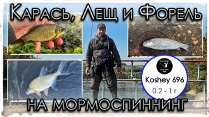 Карась, Лещ и форель на мормоспиннинг. KOSHEY 696 (0.1 - 1 г) от Nano Spin Msk