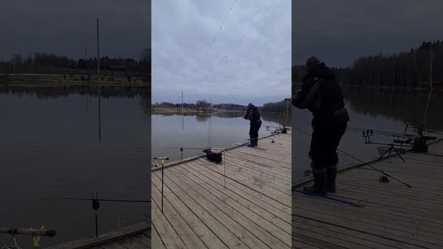 Поимки форели смотреть онлайн