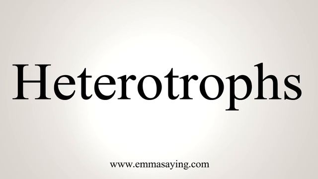 How To Say Heterotrophs смотреть онлайн