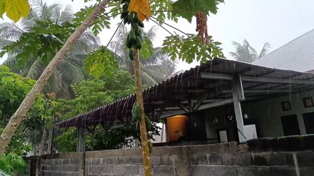 Rain For Sleep 30 MIN Gentle Rain,Rain Sounds for Sleep, Insomnia, Relaxing, Meditation, Yoga, Stud смотреть онлайн