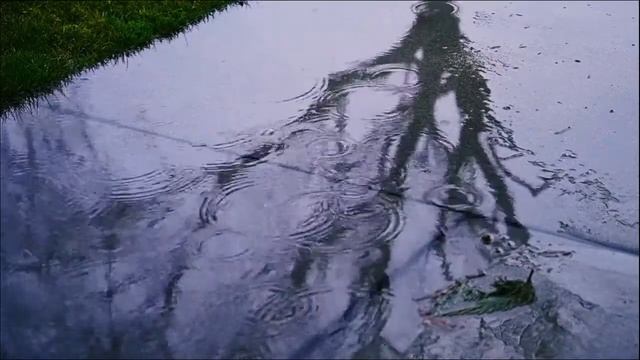 Yazhisai Relaxation#Relaxing Music#Rain Sound смотреть онлайн