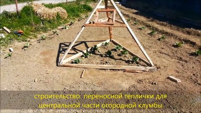 Сажаем капусту смотреть онлайн