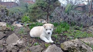 А у нас новый МАЛЫШ! И это не НУТРИК. 23.03.25