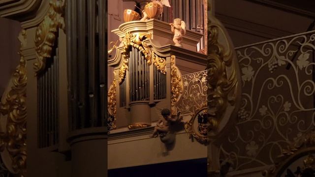 Органная музыка в Кафедральном соборе февраль 2025г