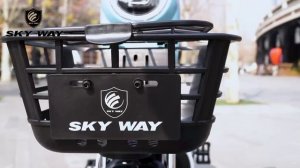 Электроскутер SKY WAY Pro Li-Ion 500W