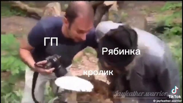 Рябинка и кролик смотреть онлайн