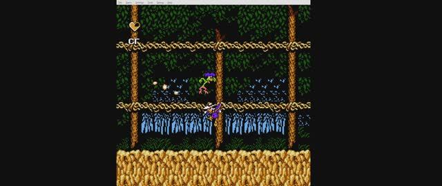 NES Черный плащ, прохождение уровня c Бушрут (Bushroot)