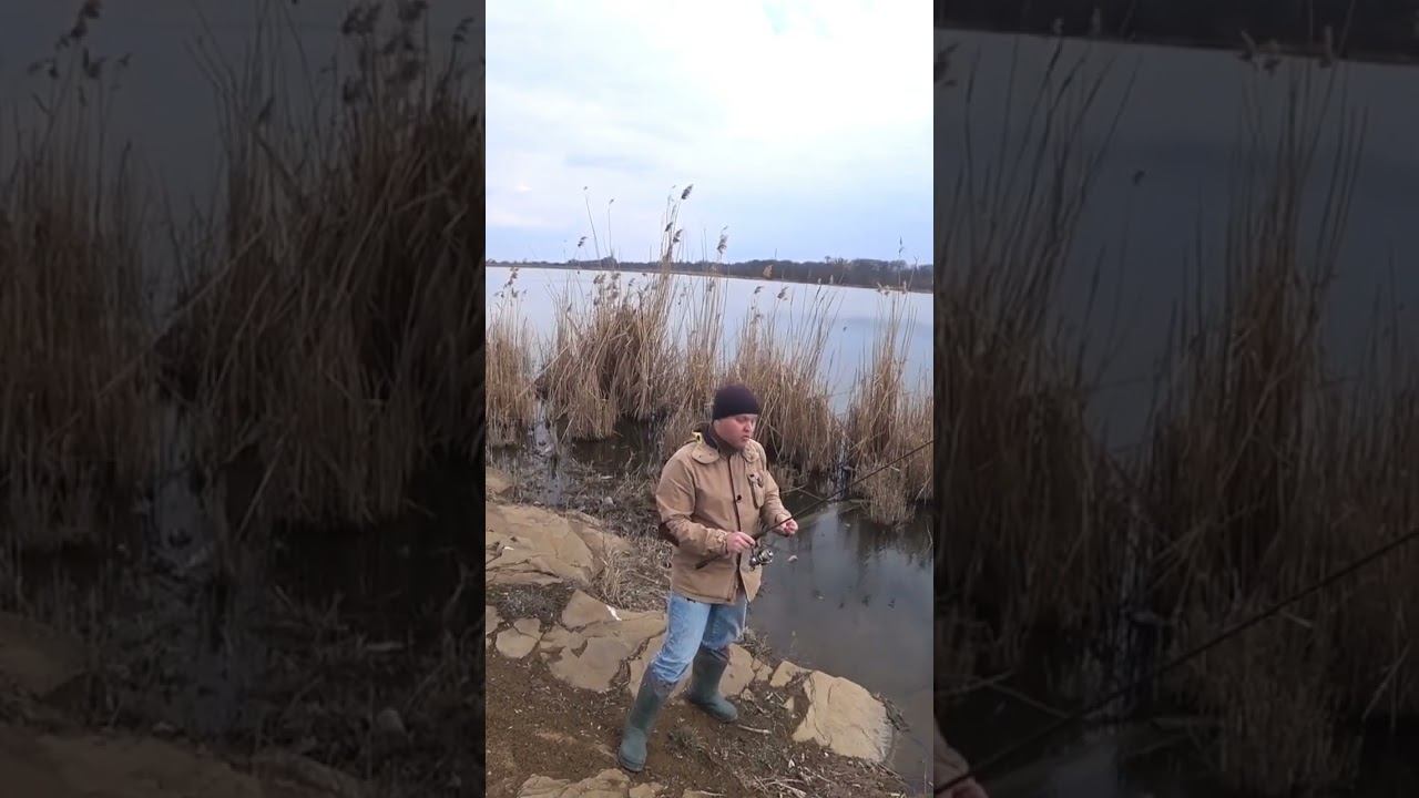 Колебло для весенней щуки #рыбалка #щука #весна #спиннинг #блеснанащуку #shorts смотреть онлайн