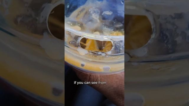 OLIVE OIL IN COFFEE!! 😲 how's the taste? смотреть онлайн