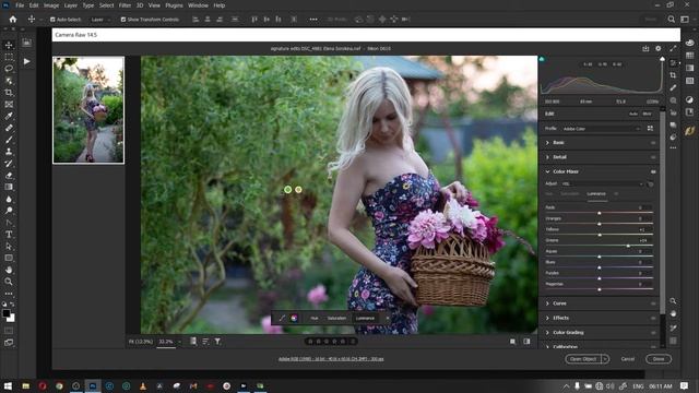 Adobe Camera RAW 14.5 | Color Mixer And Curve | Explained | Part 04 смотреть онлайн