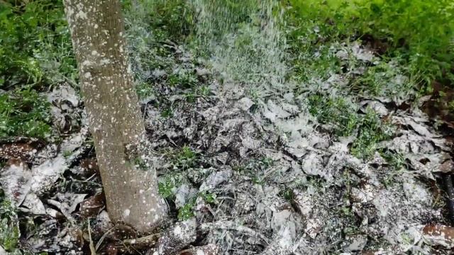 Como SUBIR,AUMENTAR,ELEVAR el PH de un SUELO acido 🥑 смотреть онлайн