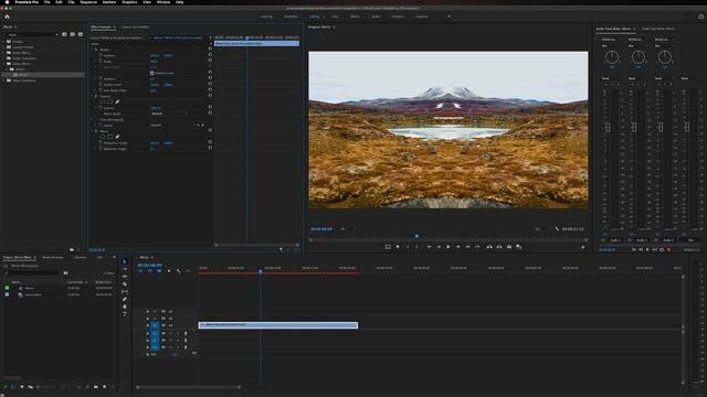 Premiere Pro Mirror Effect Tutorial - Make your videos trippy! смотреть онлайн