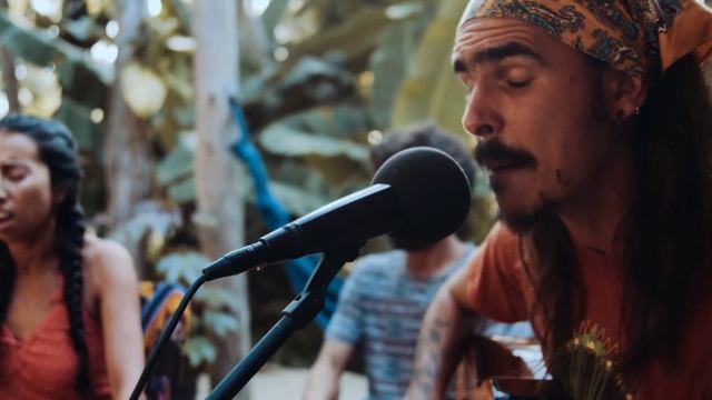 Jim Hahn - Corazón смотреть онлайн