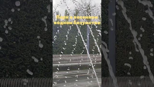 Водное безумство в парке Галицкого началось. смотреть онлайн