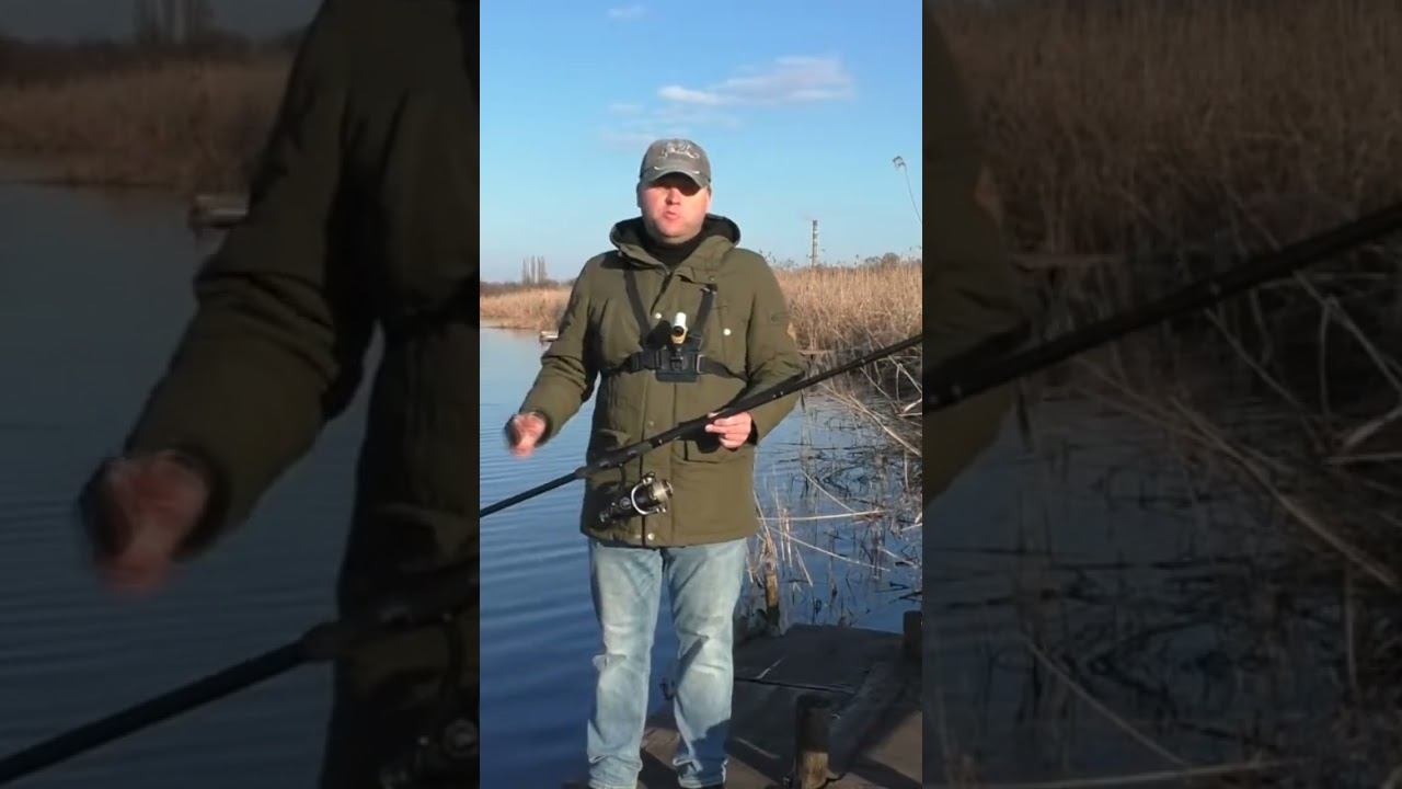 Salmo Sniper Carp #рыбалка #карповаярыбалка #карпфишинг #shorts смотреть онлайн