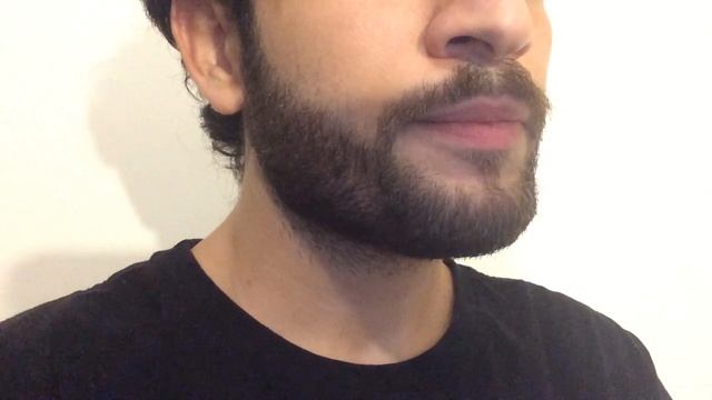 Concerning Hobbits (The Lord of The Rings / O Senhor dos Anéis) - Whistling / Assoviando смотреть онлайн