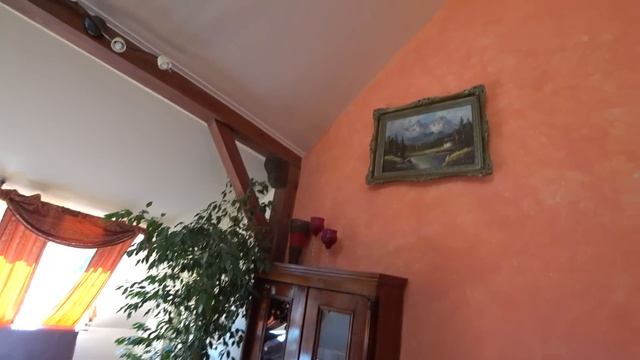 Аренда квартиры в Польше. Новые правила для студентов. смотреть онлайн
