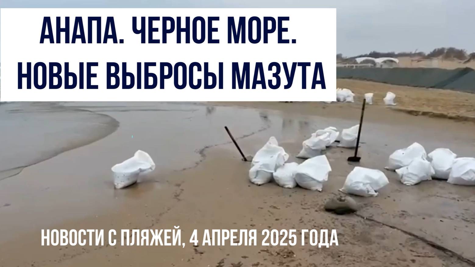 Анапа, новые выбросы мазута, 4 апреля 2025, Черное море, новости с пляжей смотреть онлайн
