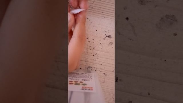 три мини новинки пополнение в домике! смотреть онлайн