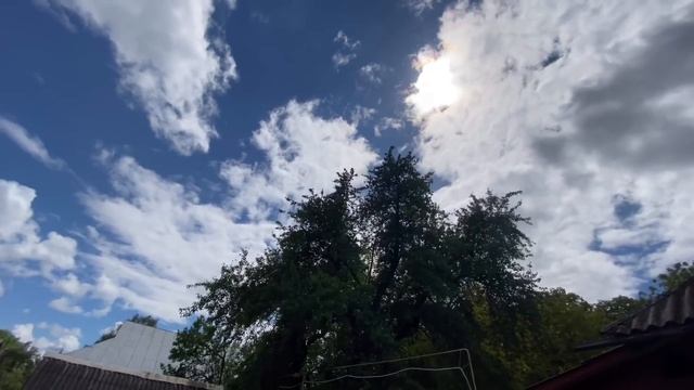 ПЕРВЫЕ ПОТЕРИ У ПЕРНАТЫХ смотреть онлайн