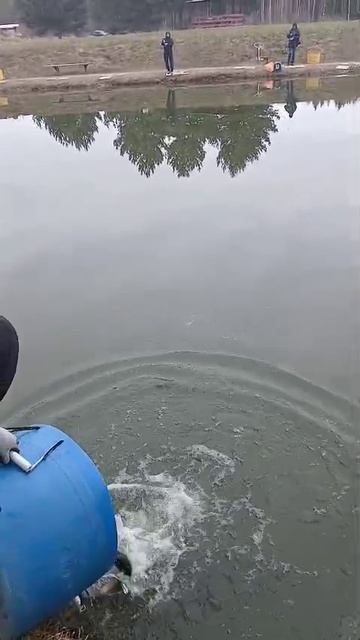 запуск смотреть онлайн