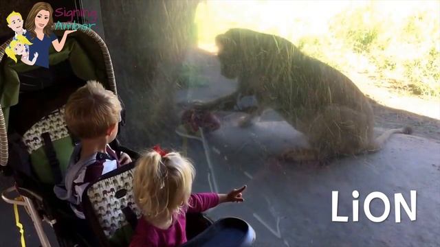 ASL Signs for Zoo Animals смотреть онлайн