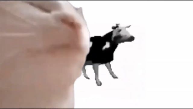 Cat and polish cow vibe together смотреть онлайн