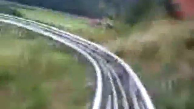 Реальные кабаны=) смотреть онлайн