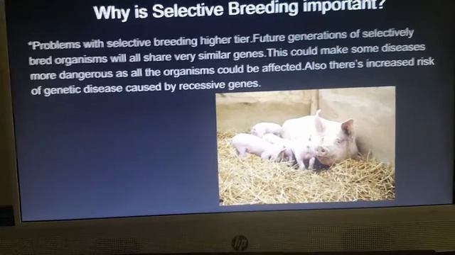 Selective Breeding смотреть онлайн