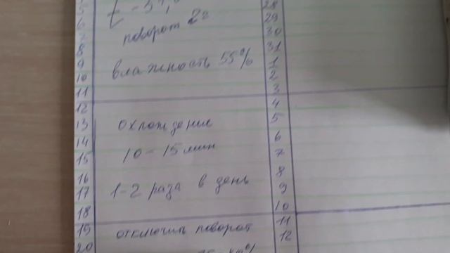 Инкубация бройлера....(ия кобб500 испания) смотреть онлайн