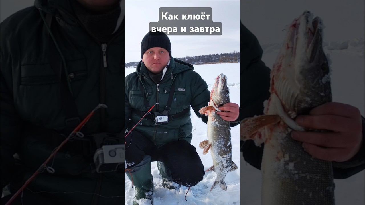 И так всегда #рыбалка #юмор #shorts смотреть онлайн