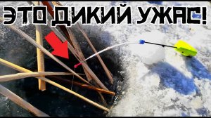 НЕ ДЛЯ СЛАБОНЕРВНЫХ! Попали на КРУПНЯК в КАМЫШЕ и карась ОДУРЕЛ! Рыбалка 2025