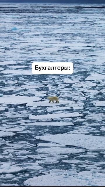 Ничего нового смотреть онлайн