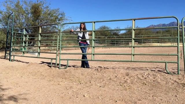 Understanding the Dominant Horse with Linda Kohanov смотреть онлайн