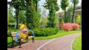 LIVE: HAPPY CAT FUNNY CARTOON | BANANA CAT AND FRIENDS 2