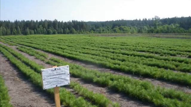 Если любишь свое село приведи в порядок его смотреть онлайн