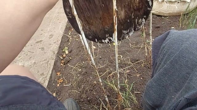 какаято подставка для цветов смотреть онлайн