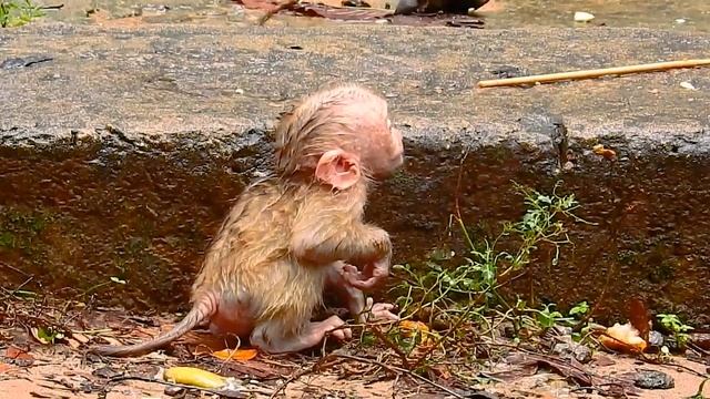 Some time Poor Baby still waiting Mommy care of him