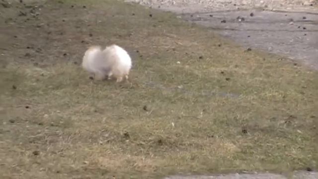 дубль 2 сквер волкова смотреть онлайн