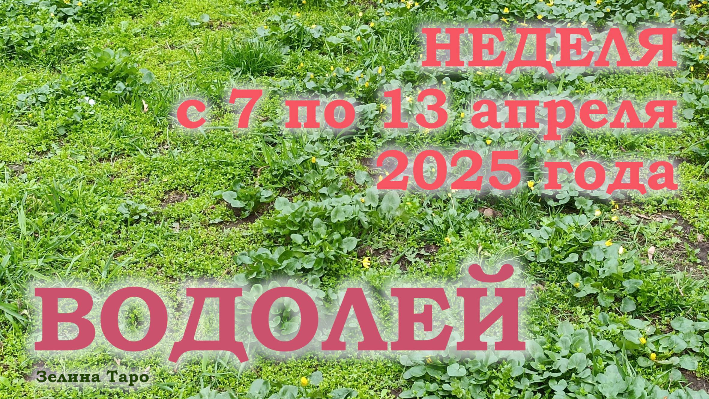 ВОДОЛЕЙ | ТАРО прогноз на неделю с 7 по 13 апреля 2025 года