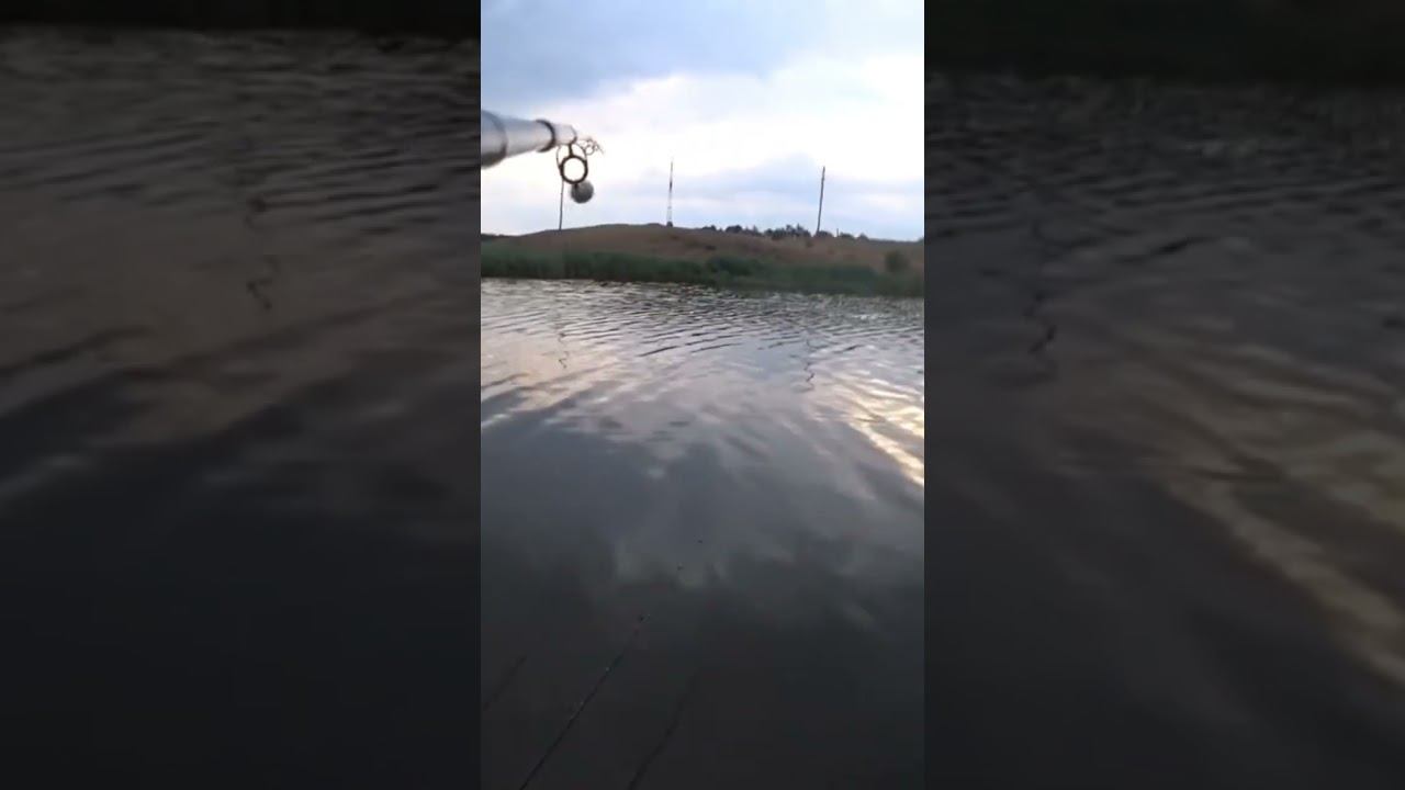 Эпичная поклёвка #карась #fishing #рыбалка #shorts смотреть онлайн