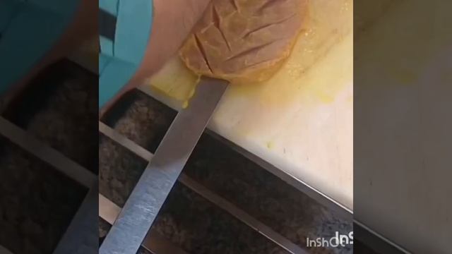 جوجه ممتاز فرهمند