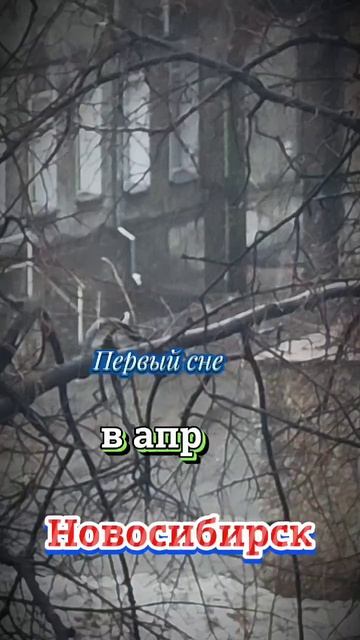 5 апреля 2025 года. В Новосибирске снегопад ❄️ смотреть онлайн
