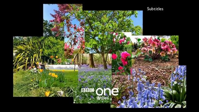 Stuff Al Did on the Telly in Wales: 2021 (Sorry, Dion) смотреть онлайн
