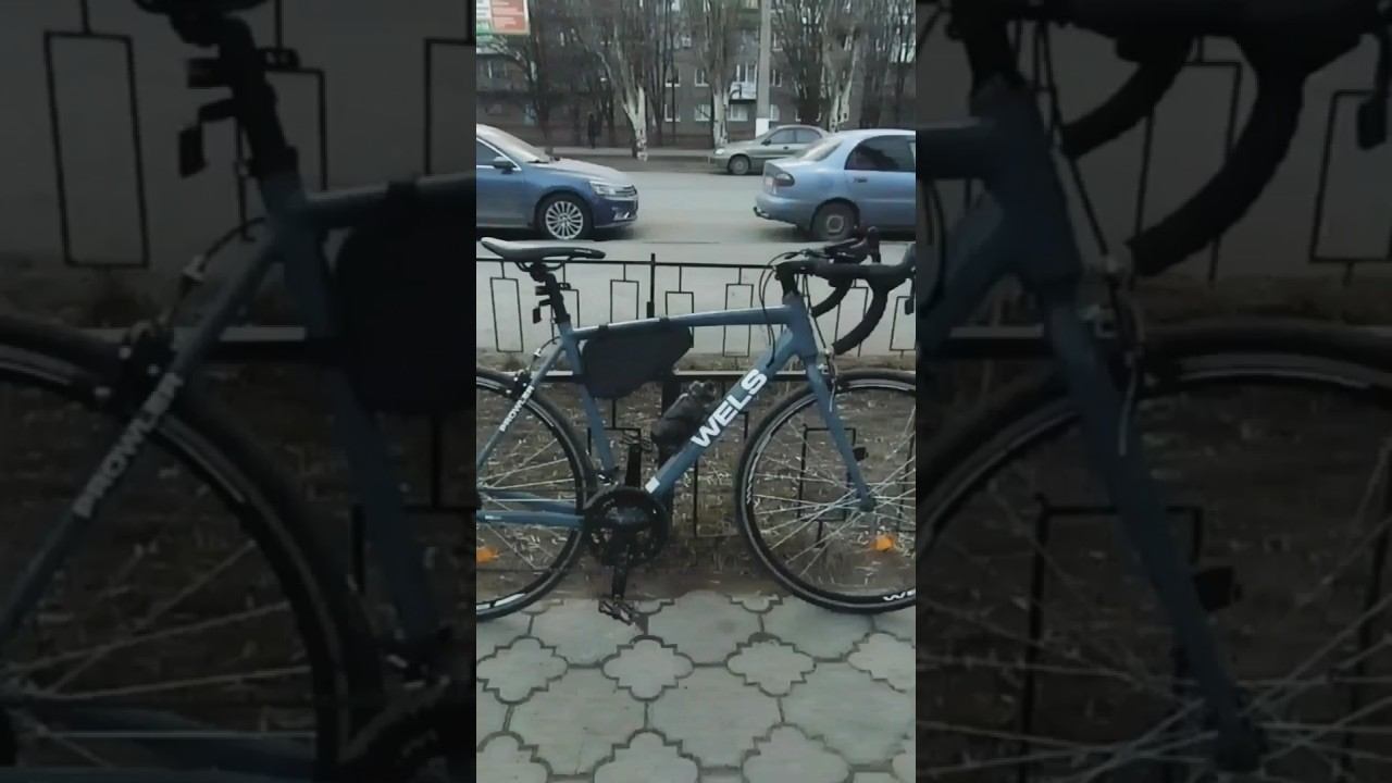 Wels Prowler и Focus Kayo #шоссе #велосипед #велоспорт #shorts #phonk #music смотреть онлайн