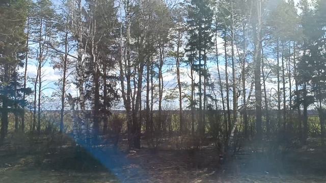 По дороге в Марий Эл.